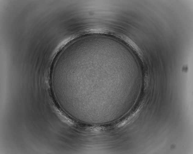 X0000101160930200807111025