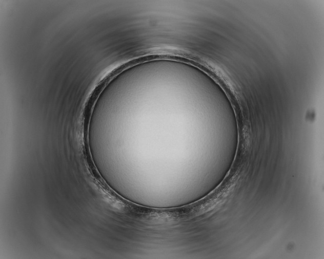 X0000101160931200807111025