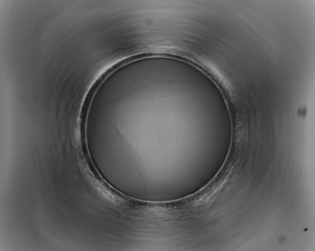 X0000101160932200807111025