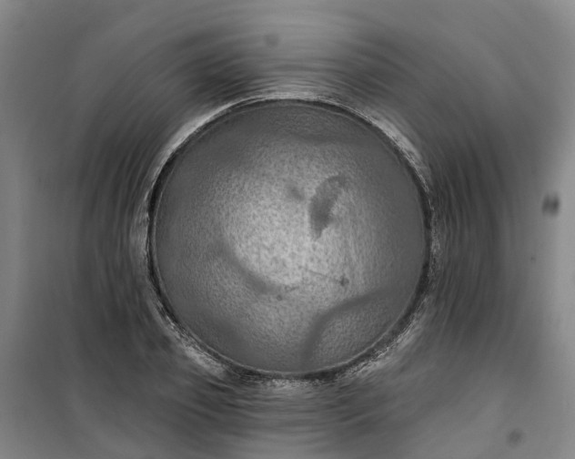 X0000101160933200807111025