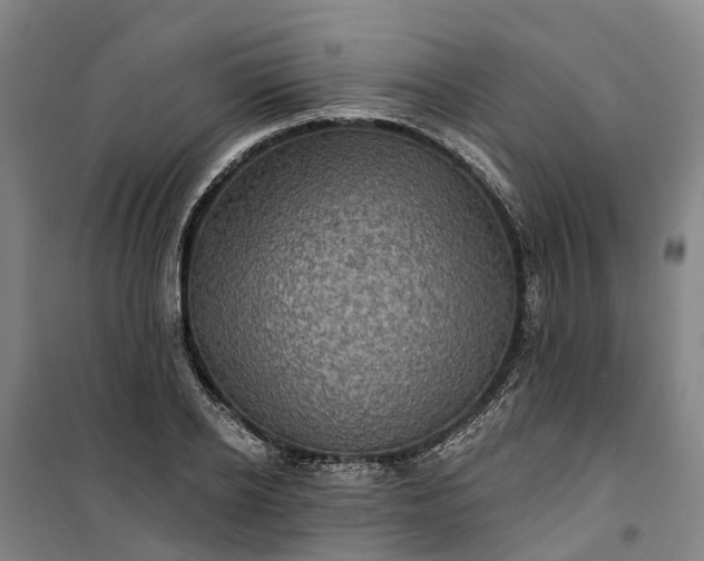 X0000101160934200807111025