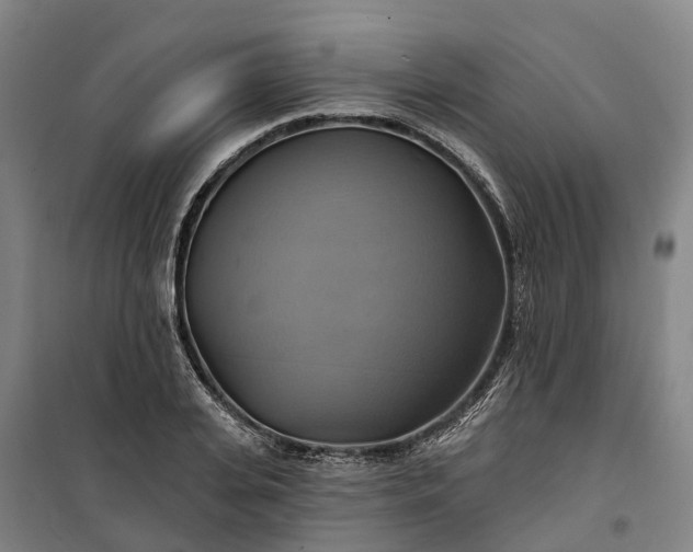 X0000101160935200807111025