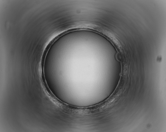 X0000101160936200807111025