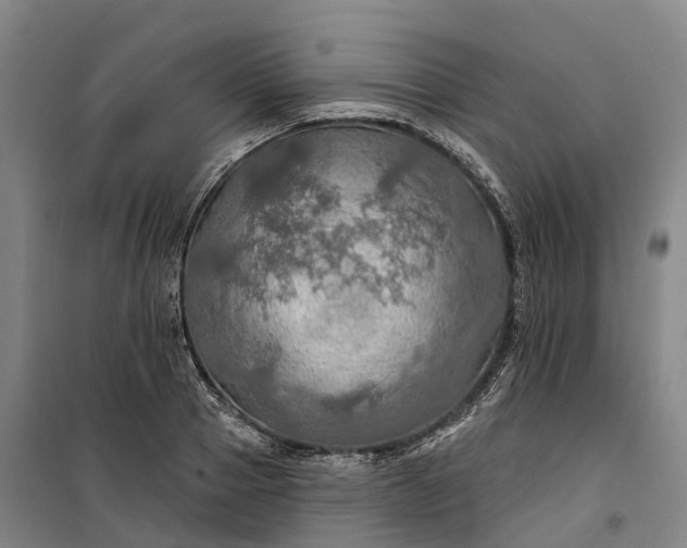 X0000101160937200807111025