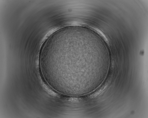 X0000101160938200807111025