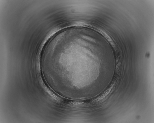 X0000101160939200807111025