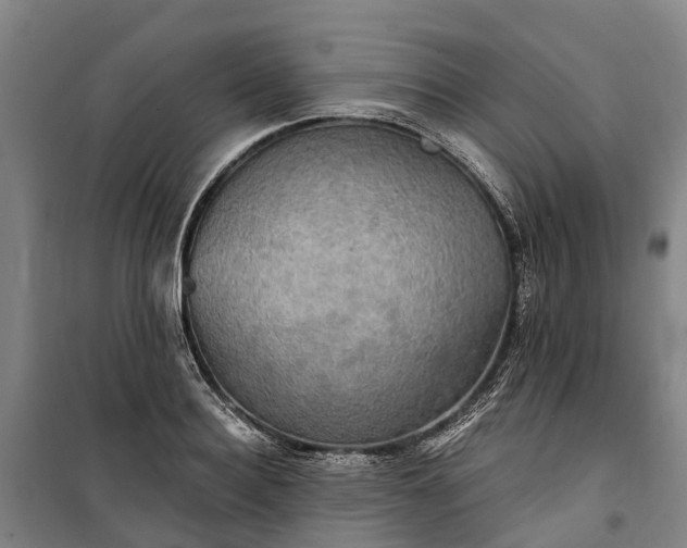 X0000101160940200807111025