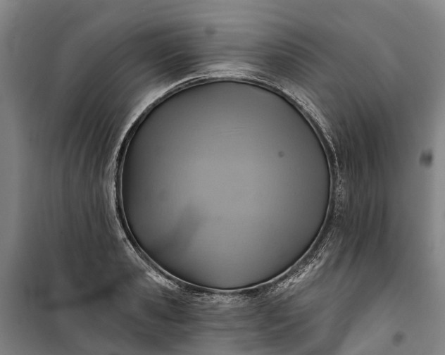 X0000101160941200807111025