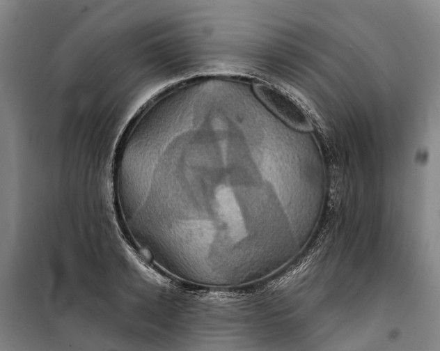 X0000101160942200807111025