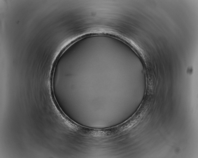 X0000101160943200807111025