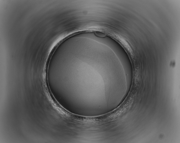 X0000101160944200807111025