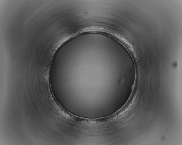 X0000101160945200807111025