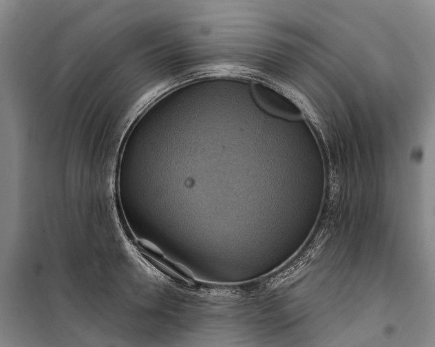 X0000101160946200807111025