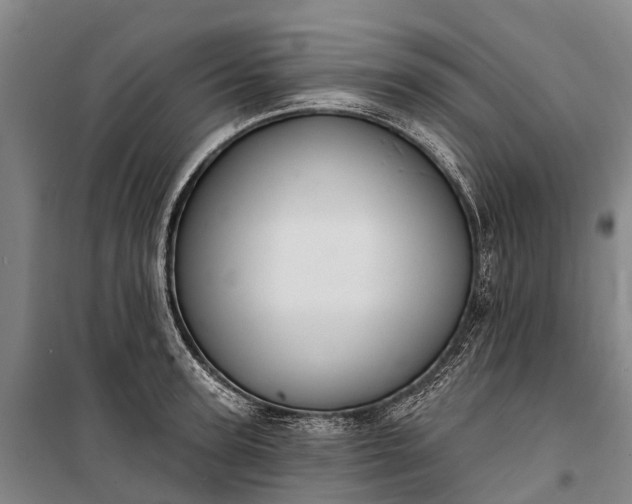 X0000101160947200807111025