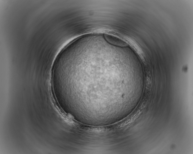 X0000101160948200807111025