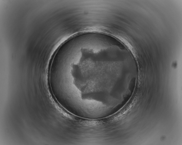 X0000101160949200807111025