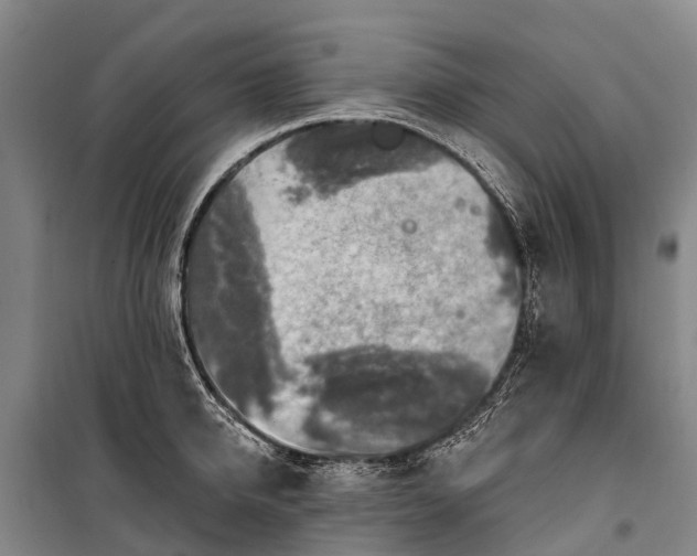 X0000101160950200807111025