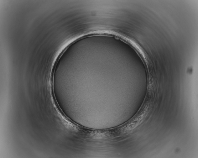 X0000101160951200807111025