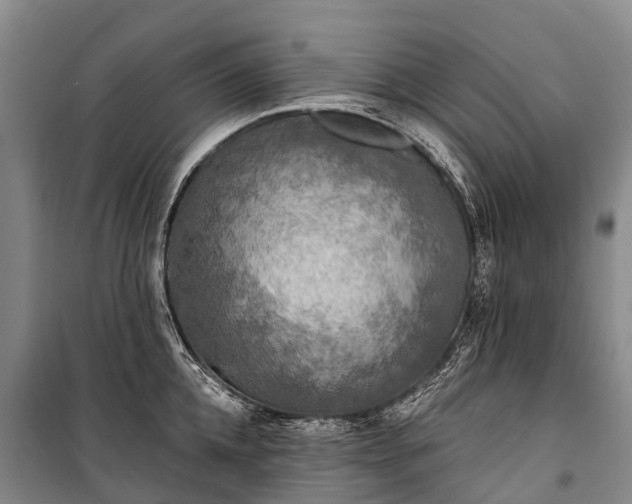 X0000101160952200807111025