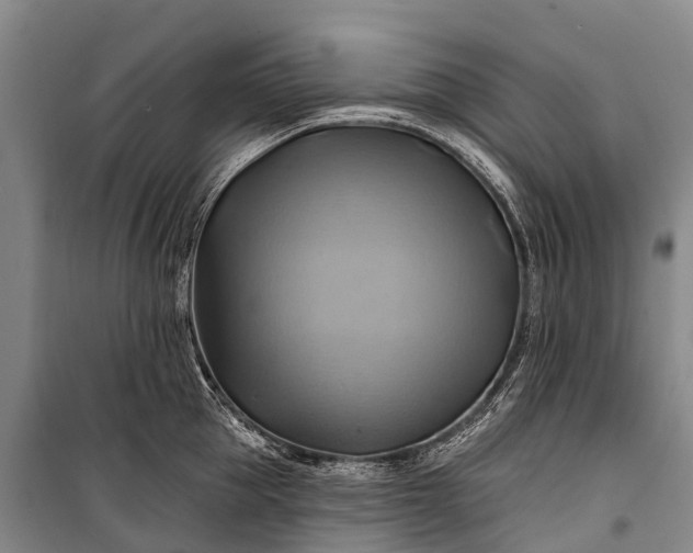 X0000101160953200807111025