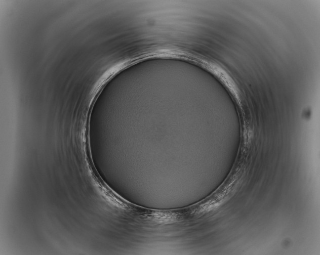 X0000101160954200807111025