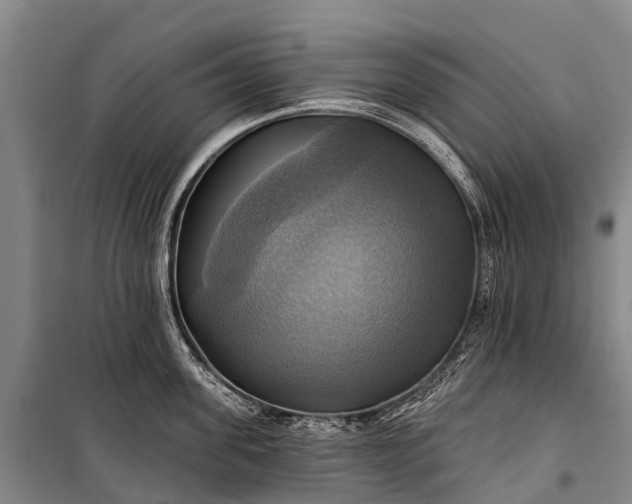 X0000101160955200807111025