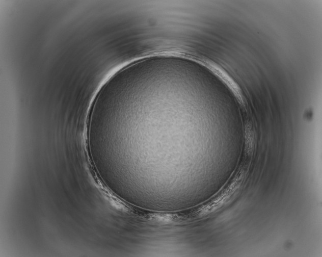 X0000101160956200807111025