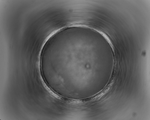 X0000101160957200807111025