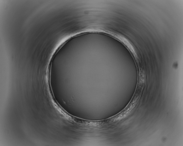 X0000101160958200807111025