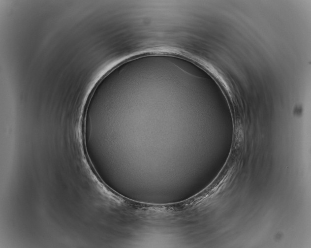 X0000101160959200807111025