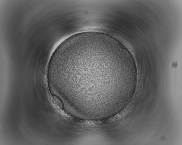 X0000101160960200807111025