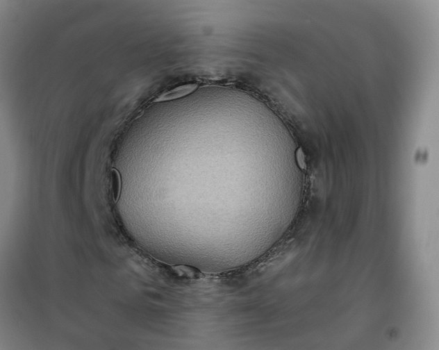 X0000101160961200807111025