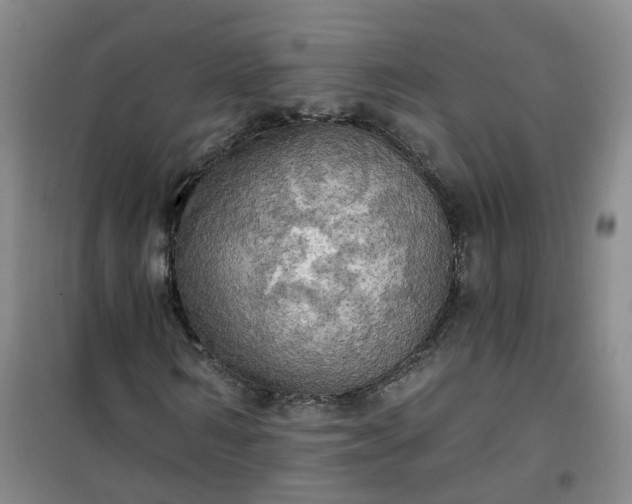 X0000101160962200807111025