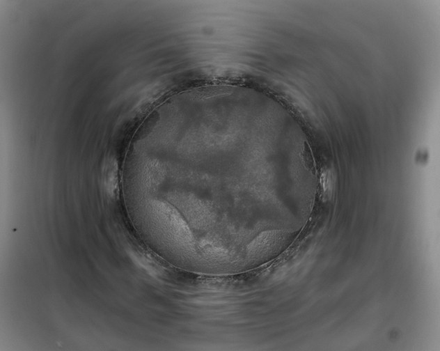 X0000101160963200807111025