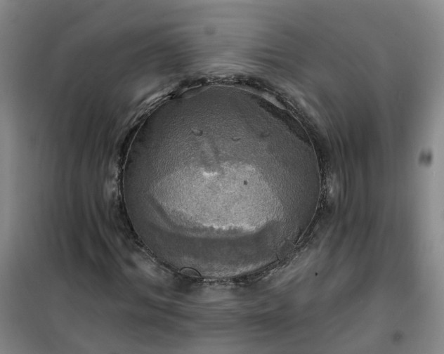 X0000101160964200807111024