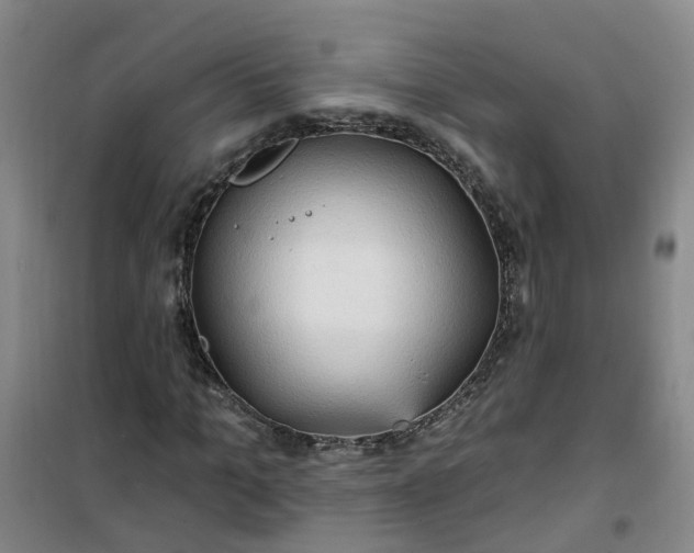 X0000101160965200807111024