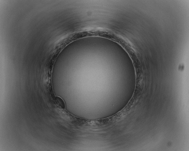 X0000101160966200807111024