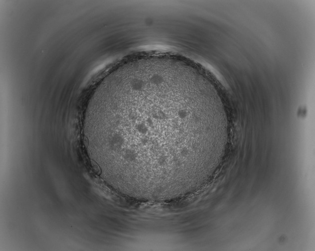 X0000101160967200807111024