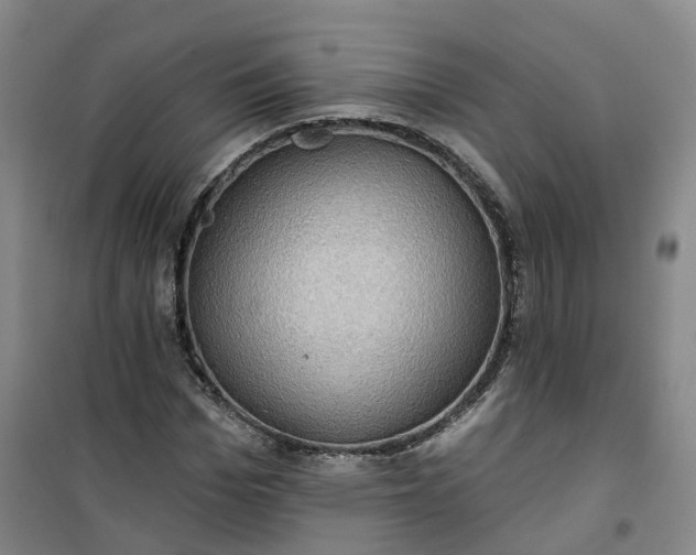 X0000101160969200807111024