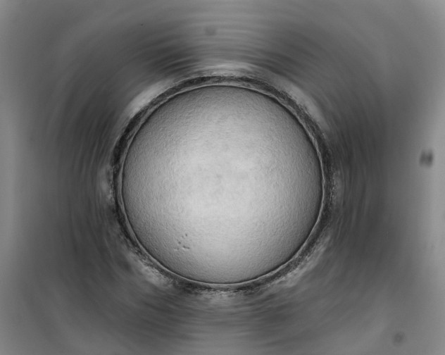 X0000101160970200807111024