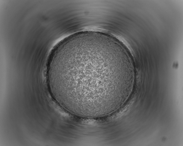 X0000101160971200807111024