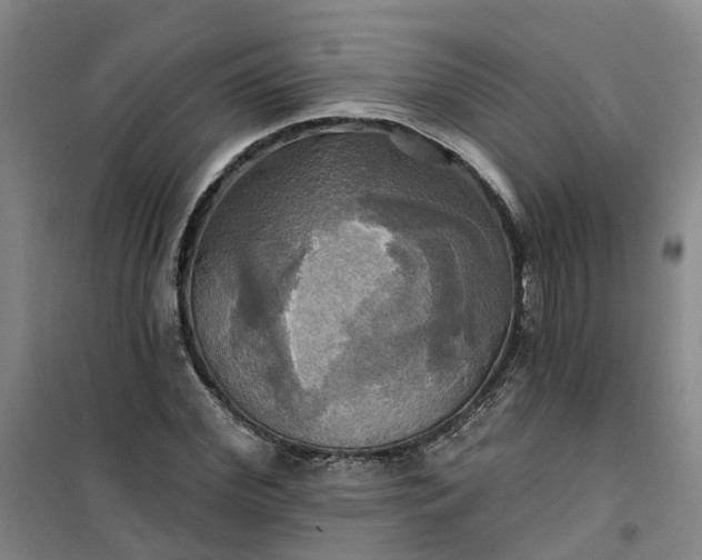 X0000101160972200807111024