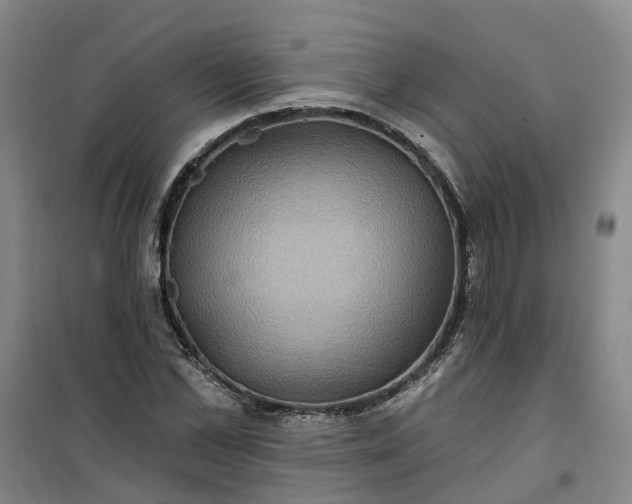 X0000101160973200807111024