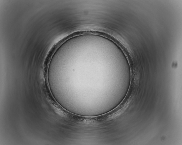 X0000101160974200807111024