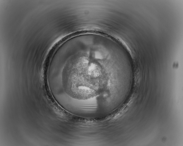 X0000101160975200807111024