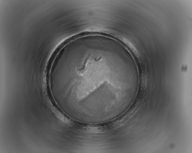 X0000101160976200807111024