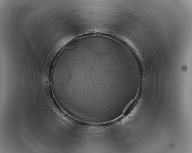 X0000101160977200807111024