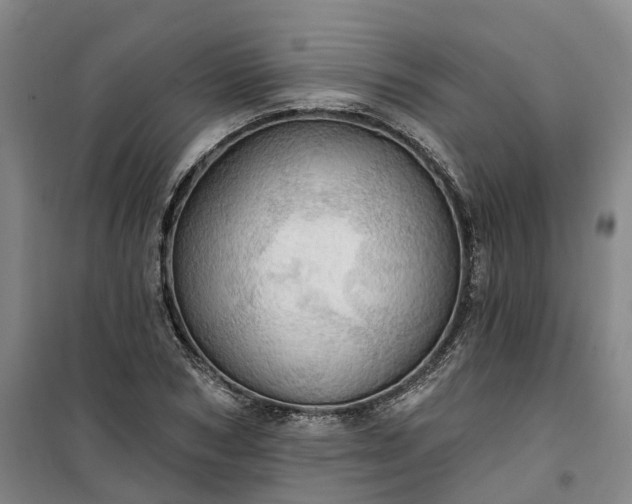 X0000101160978200807111024