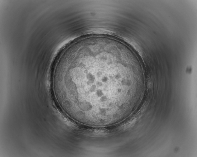 X0000101160979200807111024