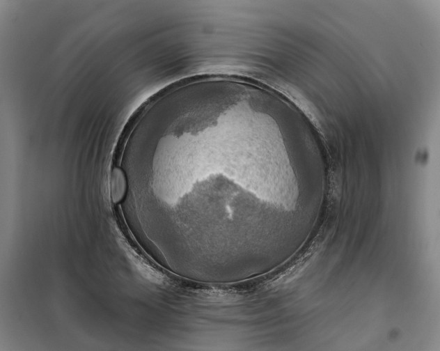 X0000101160980200807111024